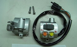 L. HANDLE SWITCH ASSY