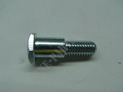 SIDE STAND SCREW