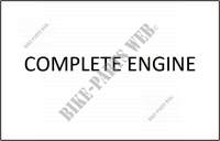 COMPLETE ENGINE for SYM ORBIT 50 (25 KMH) (AV05W1-6) (K7-K8) 2008