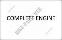 COMPLETE ENGINE for SYM ORBIT II (25 KMH) 50 (AE05W1-6) (K9-L5) 2009
