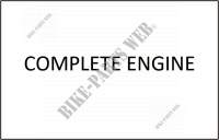 COMPLETE ENGINE for SYM SYMPLY 50 (AV05W-T) (L4) 2014