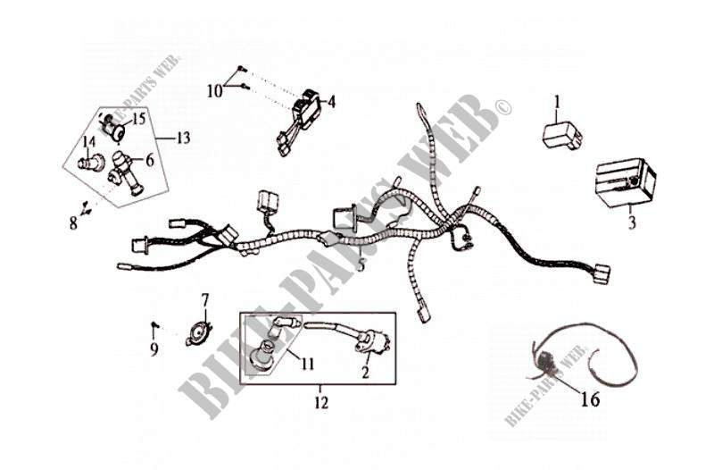ELECTRICAL HARNESS for SYM EURO MX 125 (HF12W1-6) (METRO EUROPE 125 DUAL DISK) 2003