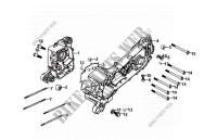 ENGINE CASINGS for SYM FIDDLE II 125 (AW12W-F) (K7-K8) 2008