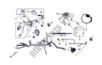 WIRE HARNESS - ELECTRICAL PART  125 sym-motorcycle 2010 GTS 125 EFI (LM12W6-F) (L0-L3) 36