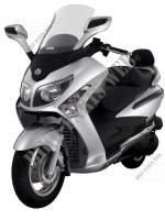 SILVER (S 421S) for SYM GTS 125 EURO 3 (LM12W3-6) (K8) 2008
