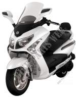 WHITE (WH 300P) for SYM GTS 125 EURO 3 (LM12W3-F) (K8) 2008