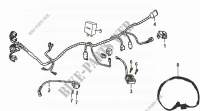 ELECTRICAL HARNESS for SYM XS125 (MP12B-6) (K9) 2009