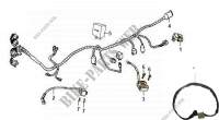 WIRE HARNESS for SYM XS-125-K (MD12B2-E) 2010