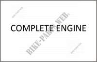 COMPLETE ENGINE for SYM QUADRAIDER 600 (UA60A-6) (L0) 2010