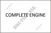 COMPLETE ENGINE for SYM FIDDLE III 50 (25 KMH) (XA05W1-NL) (L6) 2016