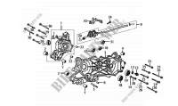 ENGINE CASINGS for SYM JET EURO X 50 (25 KMH) E2 - 2007 (BL05WC-6) 2007