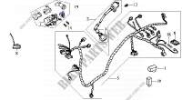 WIRING HARNESS   COIL for SYM JET EURO X 50 (BL05W6-6) (BC ENGINE) 2003